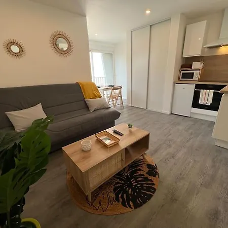 Apartamento Le Palais Maya - Lumineux - Wifi