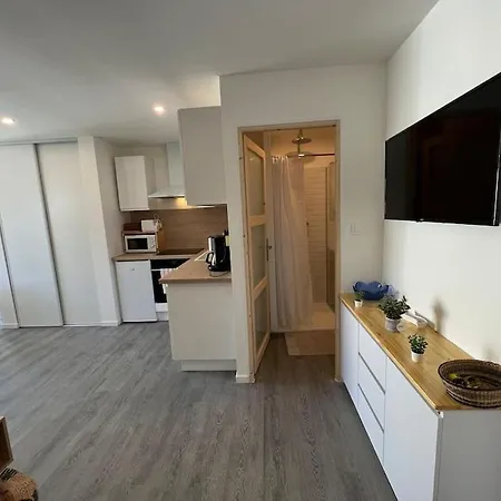 Apartamento Le Palais Maya - Lumineux - Wifi *
