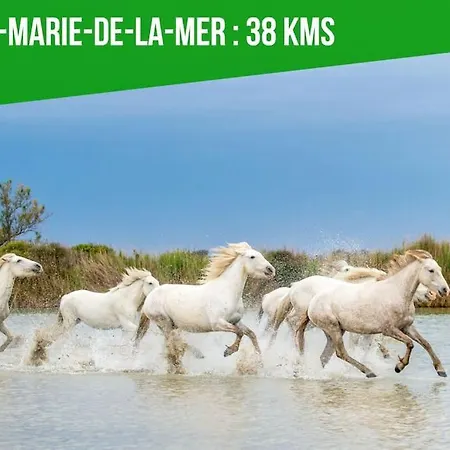 Apartamento Le Palais Maya - Lumineux - Wifi